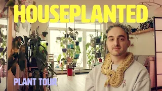 This reptile enthusiast has over 200 plants in his apartment. Look inside! | Houseplanted