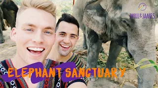ELEPHANT JUNGLE SANCTUARY | Travel Vlog | Will and James