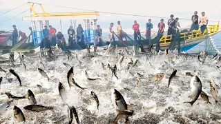 WoW !!Net Fishing, Fishing Boat Catch a Lot of Fish on The Sea Big Catch ! #02