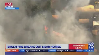Fire in San Pedro threatens homes
