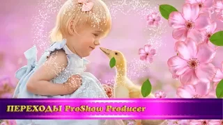 Переходы ProShow Producer "Весенние цветы" (2 часть)/Free ProShow Producer transitions "Flowers"