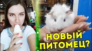 Выбираю НОВОГО ПИТОМЦА / КИЕВСКИЙ ПТИЧИЙ РЫНОК