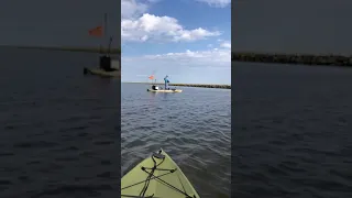 Stand up on a kayak with alligator on the side