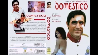 Il Domestico 1974 - Film Completo Italiano - Lando Buzzanca Femi Benussi