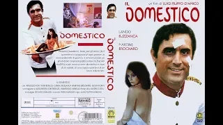 Il Domestico 1974  - Film Completo Italiano - Lando Buzzanca Femi Benussi