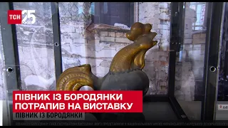 🐔 Півник із Бородянки, який встояв на кухонній поличці, став експонатом виставки