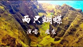 庞龙这首《两只蝴蝶》太经典了！熟悉的旋律，影响了一代人，好听