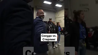 Генри Сехудо vs. Алджамейн Стерлинг