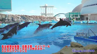 名古屋港水族館　北館３階　メインプール　２０２４年５月１０日　１３時００分～　イルカパフォーマンス🐬