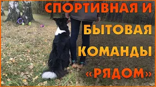 Команда "рядом" для жизни и для спорта