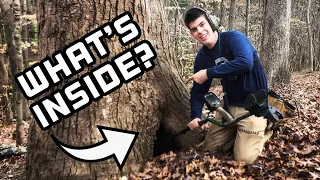 Metal Detecting! You Won't Believe What I Found Inside This Tree! *Civil War*