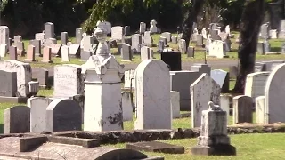 Historic Graves in Honolulu