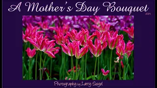 2024 MOTHERS DAY LS