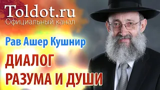 Рав Ашер Кушнир. Первые врата исцеления. Обязанности сердец 48