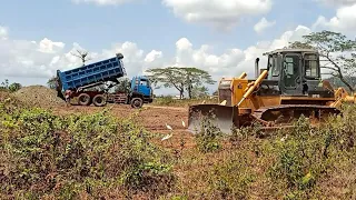 Rush Clearing Dozer For Dumping 10 Wheeler Dumptruck Stock File..