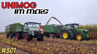 Mein UNIMOG 406 im MAIS 🤯 - Dreckig aber Geil || #vlog 301 Steelstyler - FUN in 4K