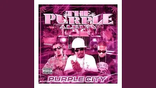Purple City And The Lot