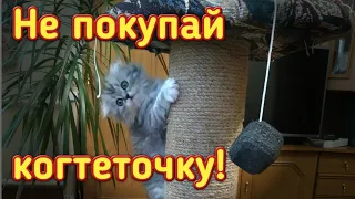 Сделай правильную когтеточку для кошки.Когтеточка своими руками.