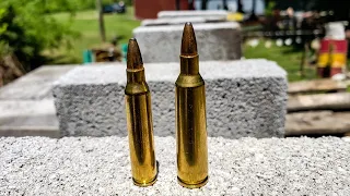 .223 vs .22-250 - How Many Pavers???