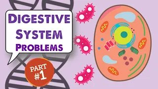 MCAT Biology Lecture: Digestive System (1/2)