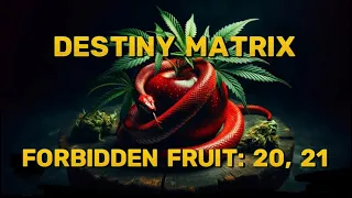 Destiny matrix: astrology as profession and forbidden fruit situation 🍎 👧