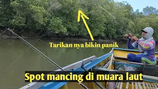 Mancing ikan di muara laut || pakek umpan udang hidup