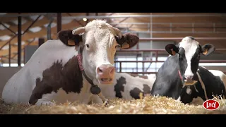 Un bâtiment NEUF et FULL LELY (Astronaut A5, Vector, Luna, L4C LED.. ) - LELY CENTER Les Fontenelles