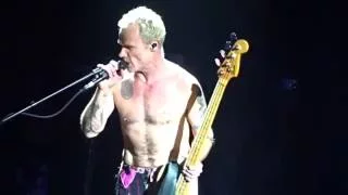 Red Hot Chili Peppers - Can't Stop (live @ Bologna 08/10/2016)