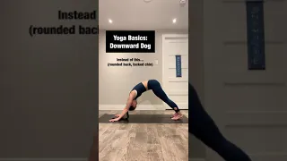 Yoga Basics: Downward Dog Mistakes!