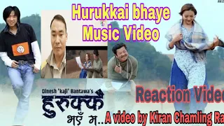 Hurukkai Bhaye Ma |Rajesh Payal Rai | REACTION video |Dayahang Rai | Alisha Rai | Sewa chha bhanchhu