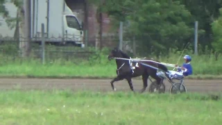 При Большой Новосибирский 1й гит, 01 07 2017, Новосибирск