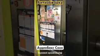 Антиобжорка! Звуковой ароматизатор настроения АудиоБокс Соня. Музыкальный модуль для холодильника.