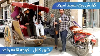 Kocha Qala-e-Wahid in Hafiz Amiri report / کوچه قلعه واحد در گزارش حفیظ امیری