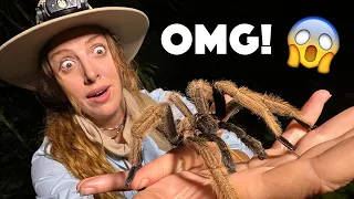 Giant Spider FOUND - Will It Bite?!