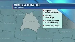 Marijuana Grow Operation Busted In Nashville