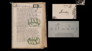 The Voynich Manuscript with Lisa Fagin Davis