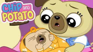 Chip and Potato | Baby Sister and Chip | Cartoons For Kids | Watch More on Netflix