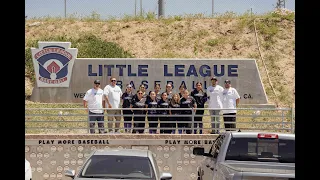Little League Tournament - Jays