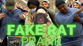 FAKE RAT PRANK COMPILATION!