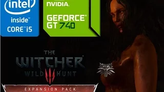 The Witcher 3 : Blood & Wine Asus X550LB (i5 4200u/GT 740M)  [Barely Playable]