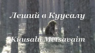 Леший в Куусалу / Kuusalu Metsavaim