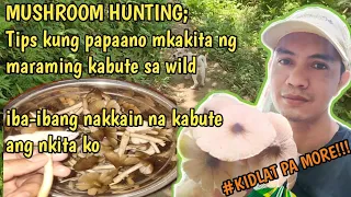 Mushroom hunting...Finding wild edible mushrooms in the Philippines (Kabuting Saging, Mamarang,etc.)