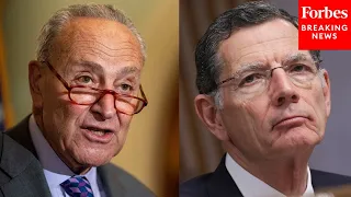 'Democrats Are Desperately Trying To Deflect The Blame': Barrasso Blasts Schumer and Border Bill