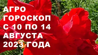 Агрогороскоп с 10 по 14 августа 2023 года. Агрогороскоп з 10 по 14 серпня 2023 року