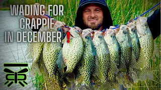 How to JIG and BOBBER CRAPPIE from the BANK‼️🦫MEAN OTTERS tried to STEAL my FISH‼️