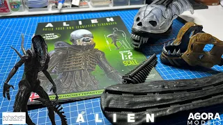 Build the 1:2 Scale Giger Xenomorph Alien - Pack 1 - Stages 1-4