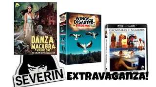 Severin Films Extravaganza! Gothic Horror, Birdemics and a 4K!