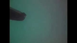 Blufish R/C Submarine Underwater Video