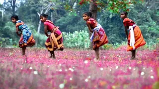 Jhuli jhuli asu chare kala mohana muliki muliki hasikari neuche mana odia bhajan video|| new bhajn