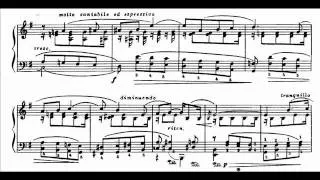 Medtner - Forgotten Melodies Op.38 - No.1 - Piano Sonata No.10 in A Minor 'Reminiscenza' (1/2)